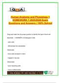 Human Anatomy & Physiology I &ndash; Homework 7 &vert; 2025&sol;2026 &vert; 40&plus; Solved Questions on Bone Cells&comma; Ossification&comma; Epidermis
