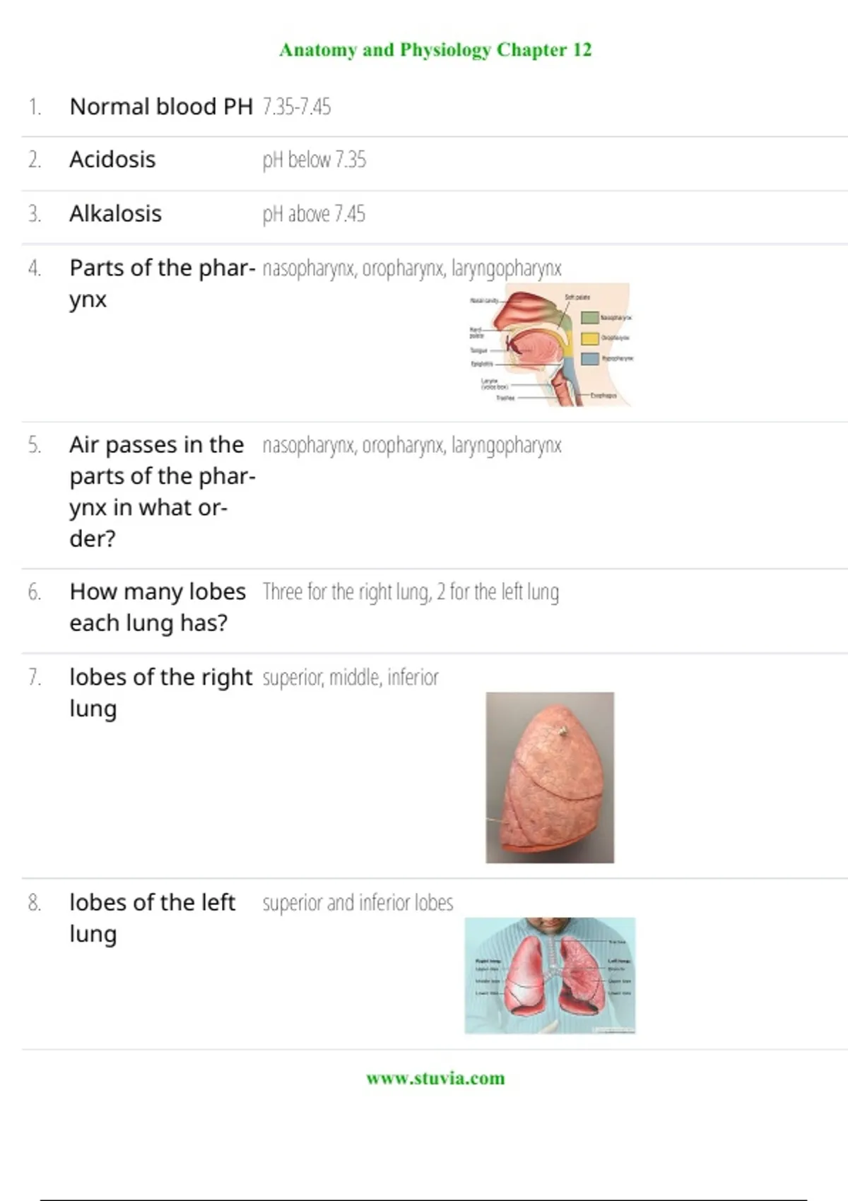 Anatomy visual data 6