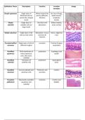 Tissue summary chart&excl;