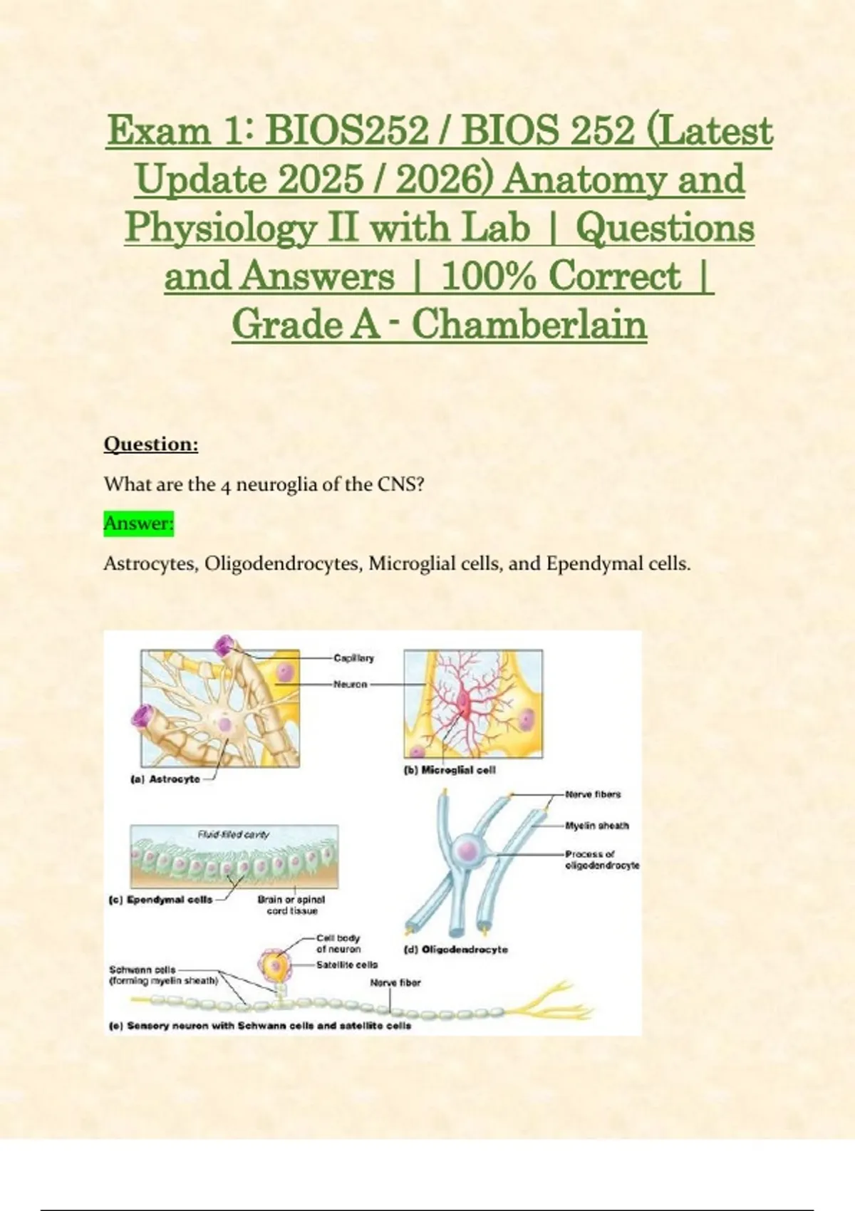 Exam 1: BIOS252 / BIOS 252 (Latest Update 2025 / 2026) Anatomy and ...