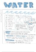 Water Lesson 1