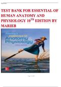 TEST BANK FOR ESSENTIAL OF HUMAN ANATOMY AND PHYSIOLOGY 10TH EDITION BY MARIEB