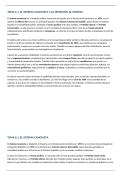 TEMAS CORTOS HISTORIA DE ESPA&Ntilde;A PAU