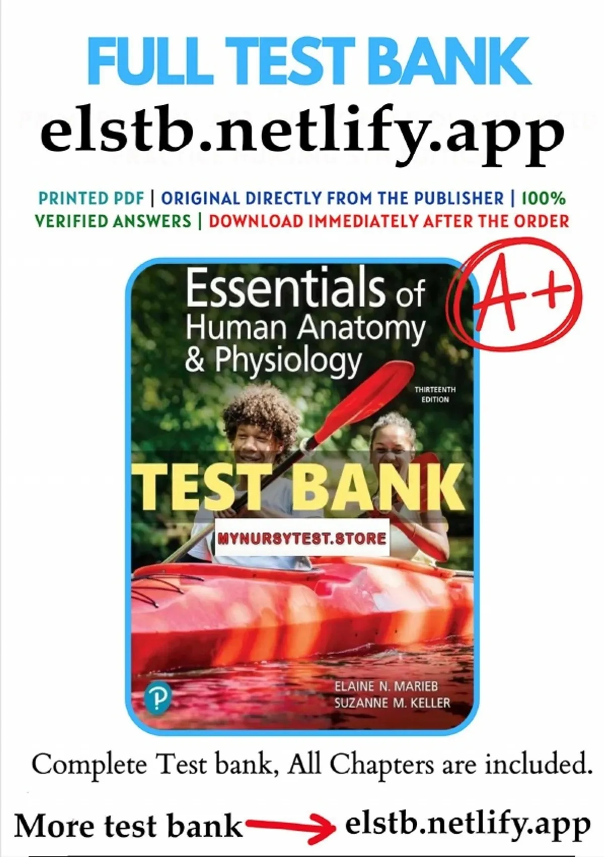Test Bank for Essentials of Human Anatomy & Physiology 13th Edition by ...