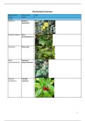 Herbariumlijst van plantkunde diversiteit en morfologie
