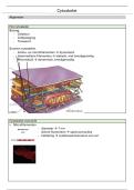 Samenvatting cytologie cel II - cytoskelet