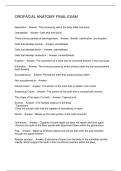 OROFACIAL ANATOMY FINAL EXAM