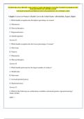 WOMENS HEALTH A PRIMARY CARE CLINICAL GUIDE 5TH EDITION YOUNGKIN SCHADEWALD PRITHAM TEST  BANK QUESTIONS AND ANSWERS LATEST  YOUNGKIN SCHADEWALD PRITHAM TEST BANK QUESTIONS AND ANSWERS LATEST        Chapter 1 Access to Women&rsquo;s Health Care in the United St