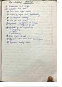 Indian Muslim law notes part 1