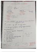 Notes of chapter THE CELL completely 