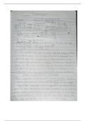 Algebra 1 Part 1- Bluebonnet Curriculum Notes