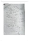 Algebra 1 Part 1 Notes