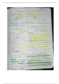 Algebra 1 Part 1 Notes