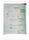 Algebra 1 Part 1 Notes