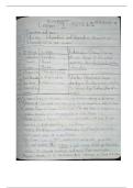 Algebra 1 Part 1 Notes