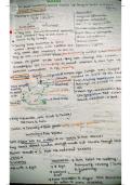 Class notes Zoology  