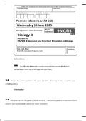 Document preview thumbnail