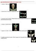 BIO 204 Pectoral Girdle and Upper Limb