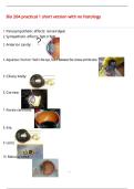 Bio 204 practical 1 short version with no histology Questions with 100&percnt; Correct Answers &vert; Verified &vert; Latest Update 
