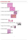 Bio 204 practical 1 MAIN Questions with 100&percnt; Correct Answers &vert; Verified &vert; Latest Update 