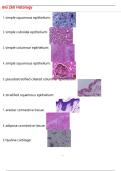 Bio 260 Histology  Questions with 100&percnt; Correct Answers &vert; Verified &vert; Latest Update