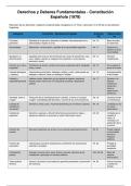 Derechos y deberes fundamentales constituci&oacute;n espa&ntilde;ola 