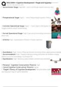 WGU D094 - Cognitive Development - Piaget and Vygotsky Exam Questions and Answers 100&percnt; Pass &vert;Verified and Updated 
