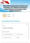 WGU D203 Fundamentals of Anatomy and Physiology &vert; OA &vert; Objective Assessment &vert; 40 Actual Questions and Answers Latest Updated 2025&sol;2026 &lpar;Graded A&plus;&rpar;