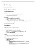 17&sol;20 Samenvatting Ademhaling pneumologie prof Dupont met afbeeldingen&comma; schema's&period;&period;&period;