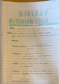 Nitrogen cycle notes