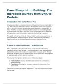 From Blueprint to Building&colon; The Incredible Journey from DNA to Protein &ndash; Gene Expression Explained &lpar;Biology Lecture Summary&rpar;