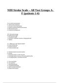 NIH Stroke Scale &lpar;NIHSS&rpar; &ndash; All Test Groups A&ndash;F &lpar;Patients 1&ndash;6&rpar; Complete Study Material