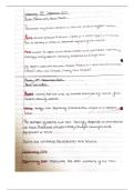 Class notes Business Studies &lpar;Business in the real world&rpar;