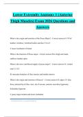 Lower Extremity Anatomy 1 &lpar;Anterior Thigh Muscles&rpar; Exam 2026 Questions and Answers