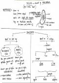 CHOLERA MICROBIOLOGY