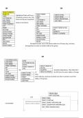 WGU c170 PROJECT WITH COMPLETE SOLUTION - DONUT