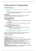Samenvattingen Veilig werken in Organisaties