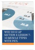 WGU D312 AP SECTION 4 LESSON 7-10 MUSCLE TYPES WITH PICS&period;