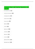 Anatomy Heart Lab Practical Questions and  answers 