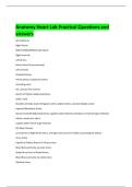 Anatomy Heart Lab Practical Questions and  answers 