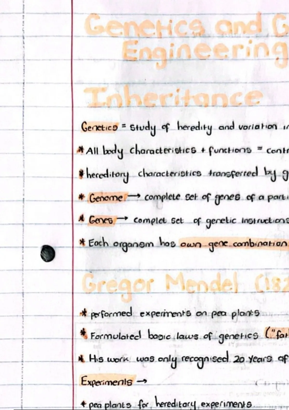 Grade 12 Genetics Notes.pdf NSC IEB grade 12 genetics handwritten notes - Life Sciences - Stuvia SA