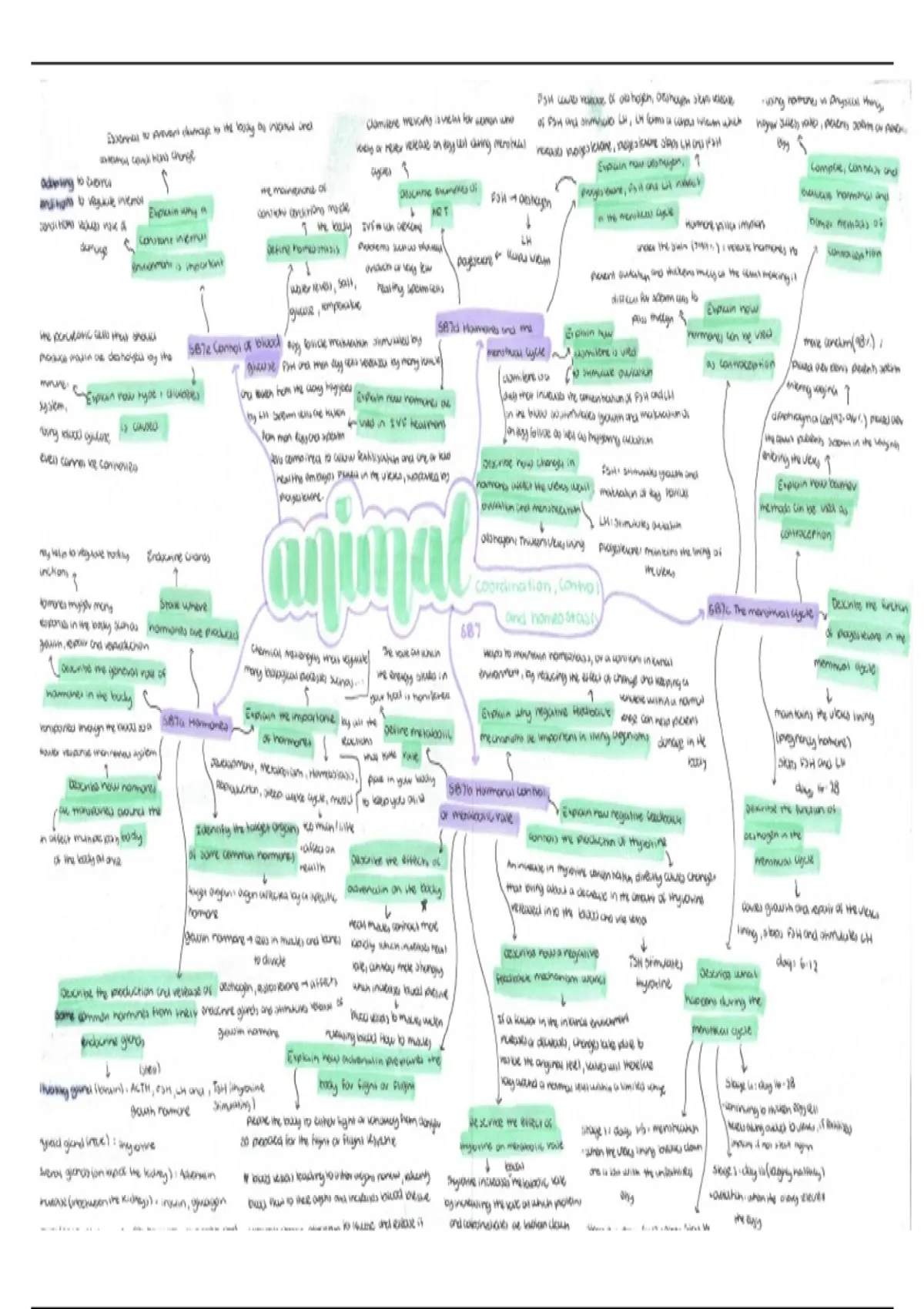 Edexcel GCSE Biology SB7 Summary Mindmap - Achieved all Grade 9s at ...