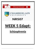 NR 507 Week 5 Edapt &ndash; Understanding Schizophrenia and Its Phases &lpar;Chamberlain&rpar;