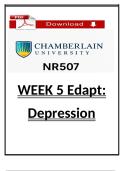NR 507 Week 5 Edapt &ndash; Understanding Depression and Its Treatment &lpar;Chamberlain&rpar;