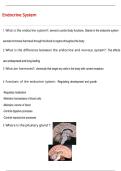 Endocrine System Questions and Answers &lpar;100 &percnt;Score&rpar; Latest Updated 2026