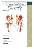 Hip Anatomy & Biomechanics &ndash; Comprehensive Questions and Answers Study Guide