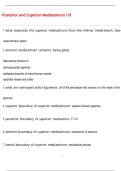 Posterior and Superior Mediastinum 1&sol;9 Questions and Answers &lpar;100 &percnt;Score&rpar; Latest  Updated 2026