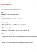 Signal Transduction 2 Questions and Answers &lpar;100 &percnt;Score&rpar; Latest Updated