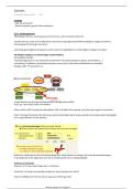 Dierenvoeding Paard & Herkauwer &ndash; HoGent &ndash; 2024-2025 &ndash; Volledige samenvatting van theorie en praktijk