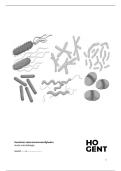 Verslag Laboratoriumvaardigheden – Practica Microbiologie | HoGent | 2024-2025 | Volledige Analyses en Microscopieobservaties